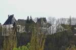 Blick von Weidingen durch die leicht Grnen ste der Bume auf das Schlo von Wiltz.