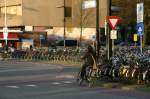 Angeblich wurde Katie Melua in Peking zum Song  Nine Million Bicycles  inspiriert.