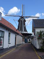 Hattem, Windmhle de Fortuin, heute Bauernmuseum (23.07.2017)