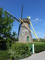 Windmhle in Domburg (13.05.2016)