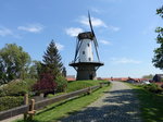 Windmhle de Witte Juffer in Ijzendijke (13.05.2016)