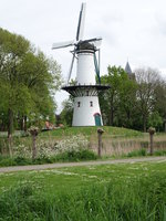 Windmhle de Hoop in Tholen (10.05.2016)