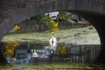 DELFT, 06.08.2017, am Zufluss der Gasthuislaan Gracht in die Oosteinde Gracht