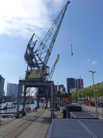Rotterdam, alte Hafenkräne am alten Hafen (11.05.2016)