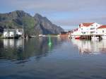 Im Hafen von Henningsvaer (30.06.2013)