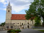 Oslip, Pfarrkirche Maria Himmelfahrt, die gotische Kirche brannte 1683 aus, 1898 renoviert und teils neu eingerichtet (03.06.2011)