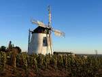 Windmhle ist ein Wahrzeichen der Weinstadt RETZ;251029