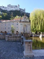 Salzburg, Kapitelschwemme am Kapitelplatz und Festung Hohensalzburg (19.04.2019)