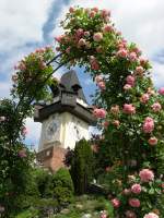 Frhling am Schloberg - Das Grazer Wahrzeichen, der Uhrturm, mit Rosen 'umkrnzt'.