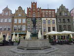 Poznan / Posen, Brunnen und Huser am Stary Rynek (12.06.2021)