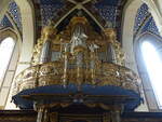 Sandomierz, Orgel von A.