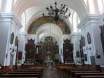 Tarnobrzeg, barocker Innenraum in der Klosterkirche Maria Himmelfahrt (18.06.2021)