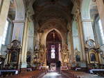 Przemysl, barocker Innenraum der Kathedrale Maria Himmelfahrt (17.06.2021)