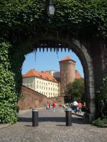 Krakow - Wawel 08.2009.