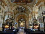 Wadowice / Frauenstadt, barocker Innenraum der Pfarrkirche Maria Himmelfahrt (05.09.2020)