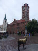 Torun / Thorn, Museum Okregowe im alten Rathaus am Altstdtisches Markt (06.08.2021)