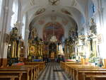 Piotrkow Trybunalski / Petrikau, barocker Innenraum der Jesuitenkirche (14.06.2021)