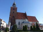Piotrkow Trybunalski / Petrikau, Pfarrkirche St.