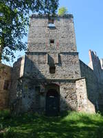 Drzewica, Schlossruine, erbaut von 1527 bis 1535 fr den Erzbischof von Gnesen, 1814 brannte das Schloss aus und wurde dem Verfall preisgegeben (14.06.2021)