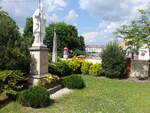 Cieszanow, Statue und Huser in der Ignacego Skorupki Strae (16.06.2021)