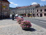 Lublin, Gebude am Plac Wladyslawa Lokietka (15.06.2021)