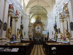 Lublin, barocker Innenraum der Karmeliterkirche St.