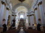 Biala Podlaska, barocker Innenraum der Klosterkirche St.