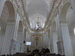 Zamosc, barocker Innenraum der Franziskanerkirche (16.06.2021)