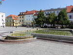 Plock, Brunnen und Gebude am Rynek Platz (07.08.2021)