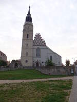 Boleslawiec / Bunzlau, Stadtpfarrkirche Maria Himmelfahrt, erbaut von 1482 bis 1493, neugotischer Turmhelm von 1928 (11.09.2021)