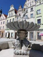 Nysa / Neisse, Trytona Brunnen an der Bracka Strae (01.07.2020)