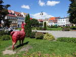 Głuchołazy / Ziegenhals, historische Gebude am Rynek Platz (01.07.2020)