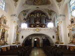 Lesnica / Leschnitz, Orgelempore in der Wallf.