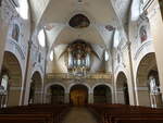 Strzelce Opolskie / Gro Strehlitz, Orgelempore in der Pfarrkirche St.