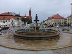 Bialystok, Brunnen und Maria Himmelfahrt Kirche am Rynek Kosciuszki (04.08.2021)