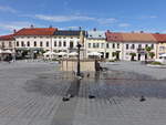 Zywiec / Saybusch, Brunnen am Hauptplatz Rynek (05.09.2020)