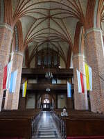 Trzebiatow / Treptow an der Rega, Orgelempore in der St.