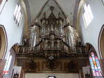 Kamien Pomorski / Cammin, Orgel in der Kathedrale St.