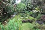 Im Park  Terra Nostra  auf der Azoren-Insel Sao-Miguel am 23.07.2023.