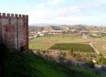 SILVES (Concelho de Silves), 24.01.2005, Blick von der Burgmauer ins Land