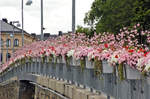 Blumen an der Brcke Stadhusbron.