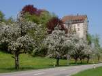 Veltheim, Schloss Wildenstein am Eingang des Schenkenbergtal, Bergfried aus dem 14.