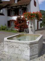 Sissach, Brunnen am Kirchplatz (22.07.2012)