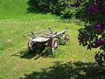 Susch im Unterengadin, alter romantischer Heuwagen auf einer Wiese - 30.05.2007