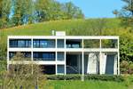 Weggis, Hertensteinstrasse 140, ein Haus, in dem ein Baum wchst - 22.04.2015