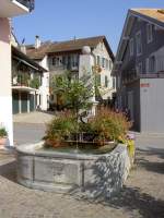 Aubonne, Brunnen am Place Bourg de Four (07.09.2012)