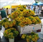 Ein Stand mit Sonnenblumen auf den Marchés Folkloriques in Vevey am 02.08.08.