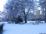 Ganz so gross wie der Central Park in New York ist der Winterthurer Stadtpark nicht.