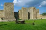 Smedervo, Trme der Inneren Festung, erbaut bis 1430 durch Durad Brankovic (09.05.2014)