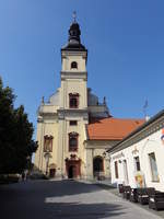 Trnava / Tyrnau, Pfarrkirche St.
